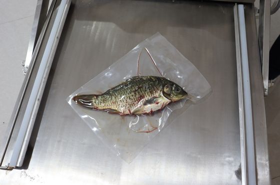 Máquina de embalagem a vácuo de câmara dupla a motor elétrico para pães vegetais, peixes e frutos do mar 120 kg