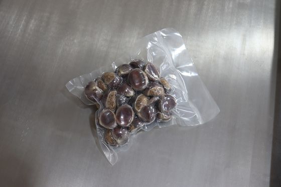 Máquina de embalagem a vácuo de câmara dupla a motor elétrico para pães vegetais, peixes e frutos do mar 120 kg