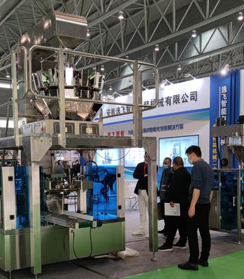 Sistema de alimentação automática Máquina de embalagem de pó granulado líquido para bolsas de 10g-500g