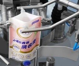 Material de embalagem de plástico utilizado Máquina de embalagem de sacos rotativos de velocidade para nozes e sementes