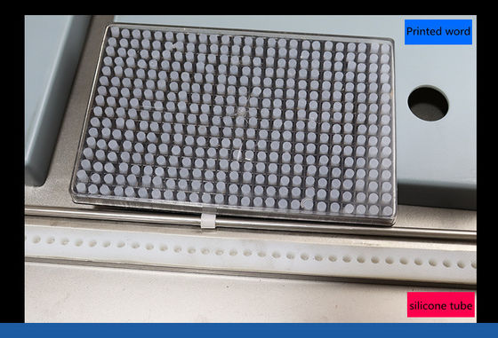 Máquina de embalagem a vácuo de carne de duas câmaras com 2 tiras de vedação e tensão de 220V/380V