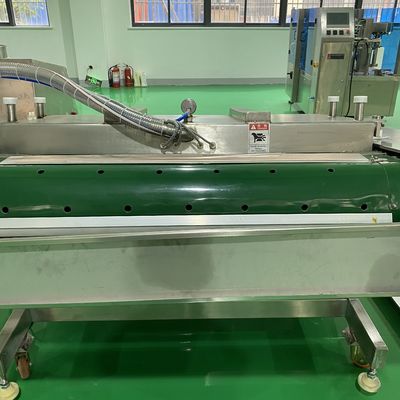 Máquina de embalagem a vácuo de aço inoxidável para queijo e frutos do mar