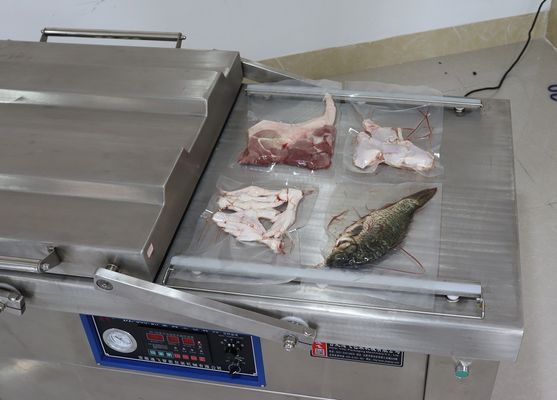 Largura de vedação 10 mm DZ-600 Data de operação fácil Máquinas de embalagem a vácuo de palma para vacío de peixe