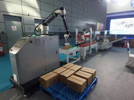 IP65 Linha de embalagem com caixa de sacos de cartão caixa erector sistema de paletização de vedação dobrável