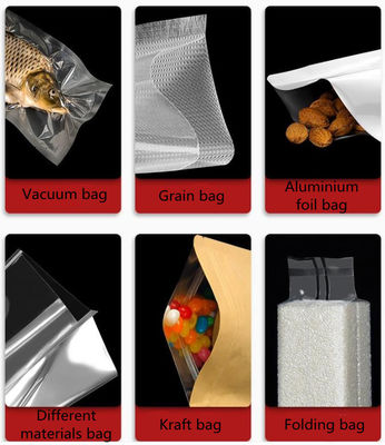 100pump Stainless Steel Vacuum Sealer para Bacalhau Hairtail Peixe Marinho Alimentos Durian Atum