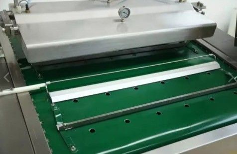 Máquina de embalagem a vácuo contínua de grãos e vegetais silvestres