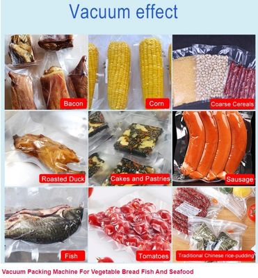 DZ 400 500 600 Semi-automático de câmara dupla de vedação a vácuo para sacos de plástico de carne e alimentos
