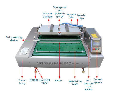 380V Sealer de vácuo de correia de transporte para processamento industrial de carne, vegetais e peixes