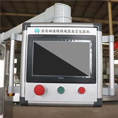 4800*850*2000mm Máquina automática de embalagem a vácuo de termoformagem para produtos de queijo